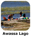 Awassa Lago